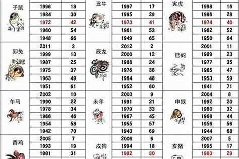 49岁属什么生肖2023|2023年生肖表 2023年生肖表图